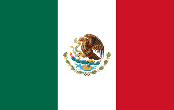 Mexico Flag Illustration