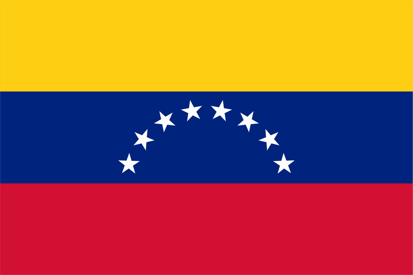 Venezuela flag 102